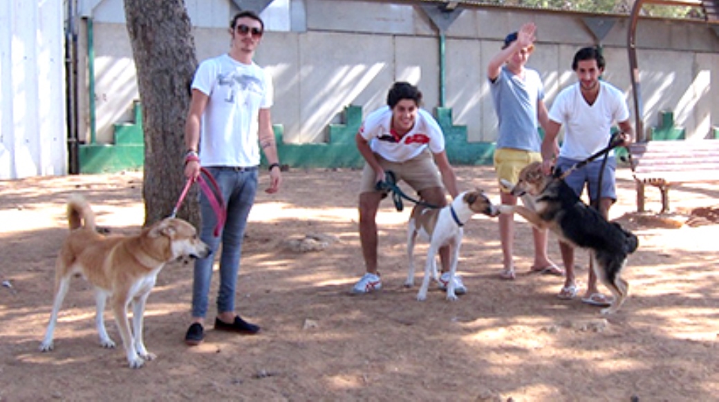 The students from the US volunteering in the SPCA