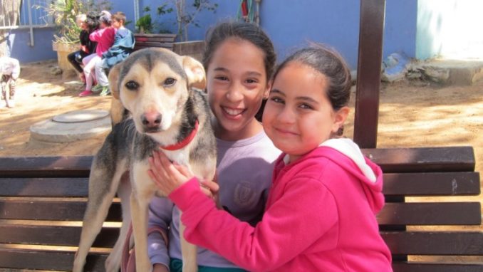 Students from the Kibbutz Galuyot School in Petach Tikva visiting the shelter