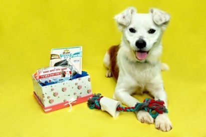Gift package for adult dogs
