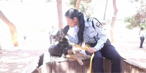 שוטרת וכלבה - אגודת צער בעלי חיים בישראל