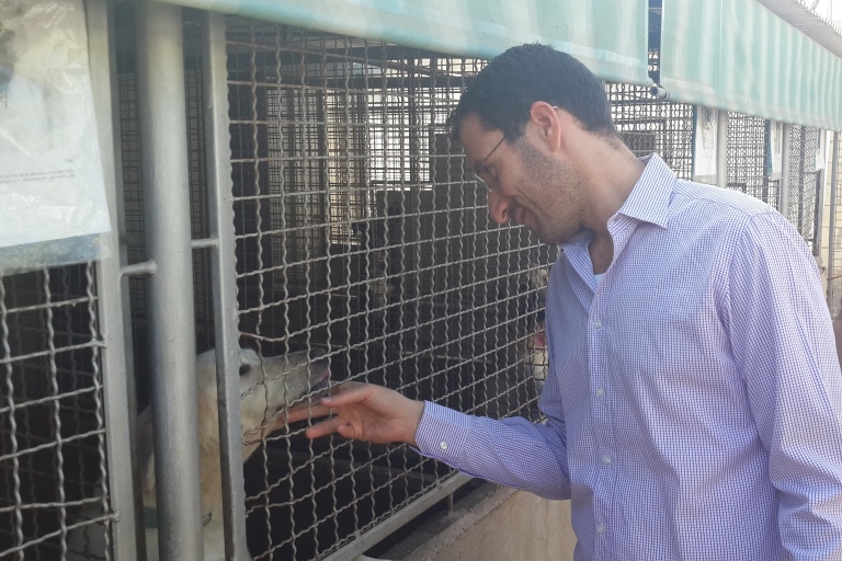 איציק שמולי - אגודת צער בעלי חיים בישראל
