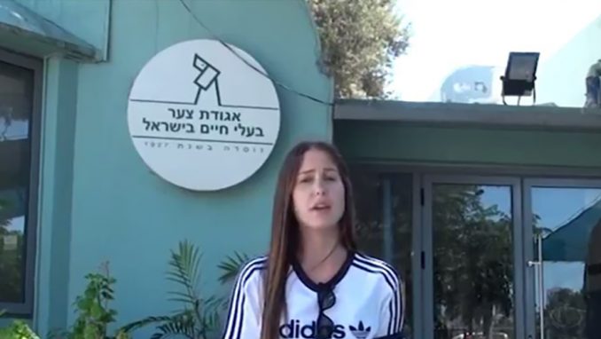 סרטון סטודנטים – אגודת צער בעלי חיים בישראל