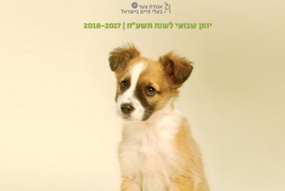 יומן שבועי - אגודת צער בעלי חיים בישראל