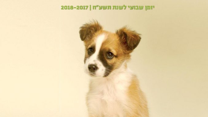 יומן שבועי - אגודת צער בעלי חיים בישראל