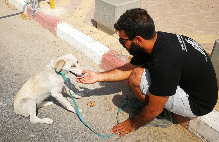 שיקום כלב – אגודת צער בעלי חיים בישראל