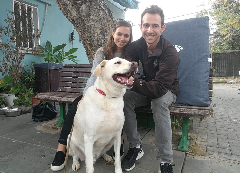 הכלב הפי אומץ - אגודת צער בעלי חיים בישראל