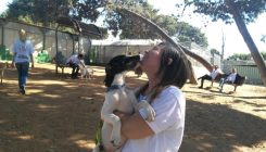 יום מעשים טובים – התנדבות עם בעלי חיים – אגודת צער בעלי חיים בישראל