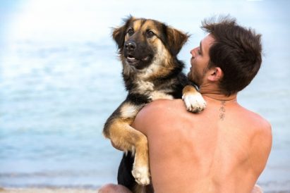 ג'אז - כלב לאימוץ - דין מירושניקוב מעודד אימוץ כלבים - אגודת צער בעלי חיים בישראל