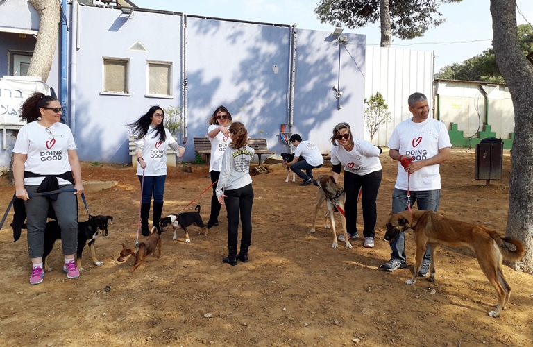 קבוצה של עובדים מבנק הפועלים משמחים את הכלבים - אגודת צער בעלי חיים בישראל