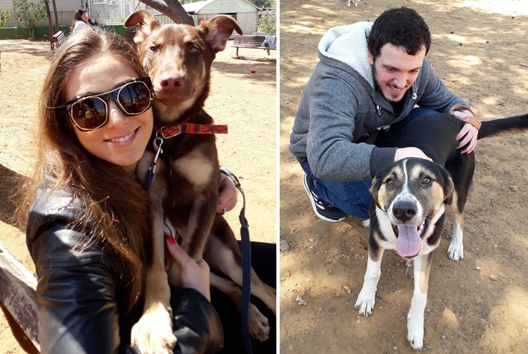 עובדי חברת סלינה בטיול עם הכלבים - אגודת צער בעלי חיים בישראל 