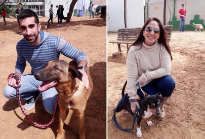 עובדי עיריית תל אביב עם הכלבים שמועמדים לאימוץ - אגודת צער בעלי חיים בישראל
