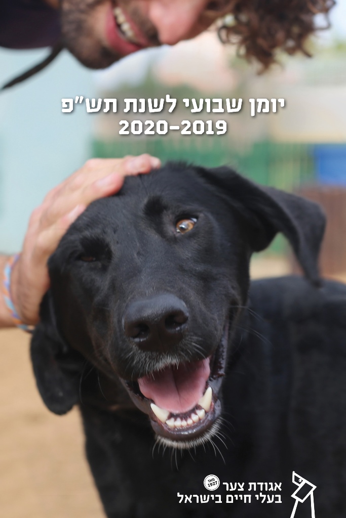 יומן שבועי לשנת תש"פ (2020-2019) - אגודת צער בעלי חיים בישראל