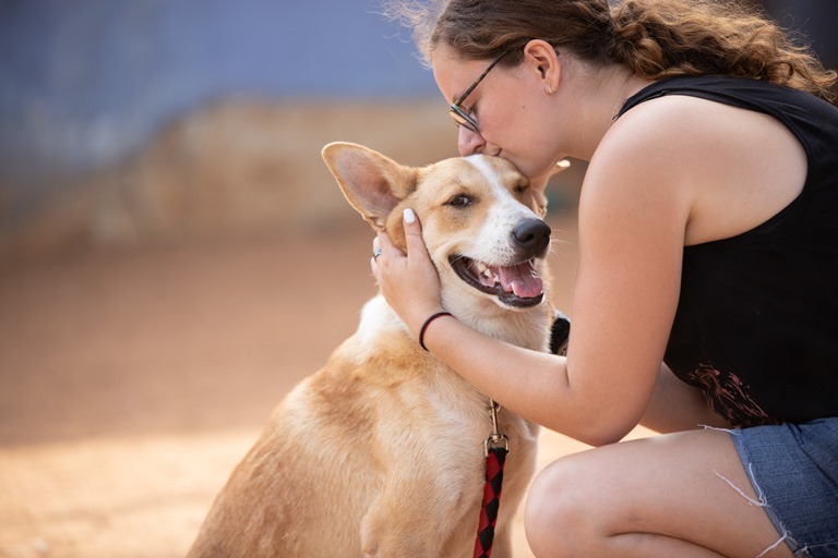 אלכס - כלב לאימוץ - אגודת צער בעלי חיים בישראל