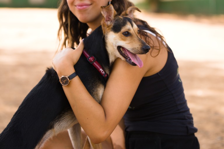 פיטר - כלב לאימוץ - אגודת צער בעלי חיים בישראל