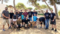 פעילות לחברות - תרומה לקהילה - אגודת צער בעלי חיים בישראל