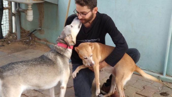 מרגו מוניק - כלבה לאימוץ - אגודת צער בעלי חיים בישראליים בישראל