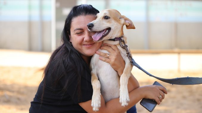 ביסלי - כלב לאימוץ - אגודת צער בעלי חיים בישראל