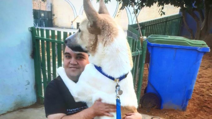 שוקו - כלב לאימוץ - אגודת צער בעלי חיים בישראל