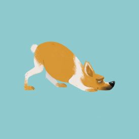 שוקו – כלב לאימוץ – אגודת צער בעלי חיים בישראל – איור: קטיה גאיה קרבץ