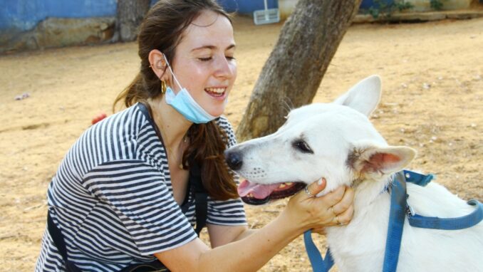 לילי - כלבה לאימוץ - אגודת צער בעלי חיים בישראל - צילום אהוד מנקוטה