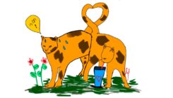 צמאים ברחוב - השאירו מים לחתולים - אגודת צער בעלי חיים בישראל - איור: אמילי נשר