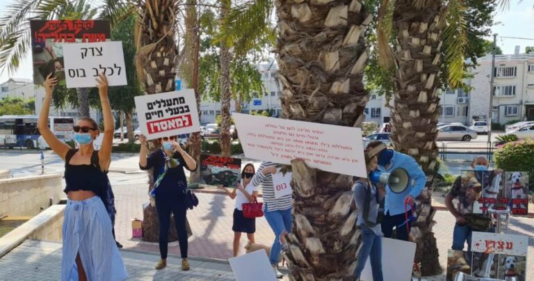 התעללות בבעלי חיים - הפגנה בבית משפט השלום באשדוד - אגודת צער בעלי חיים בישראל